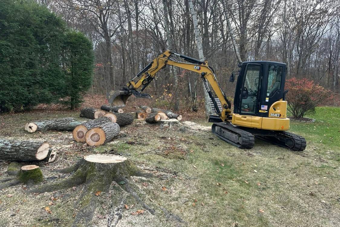 tree removal Middlebury CT