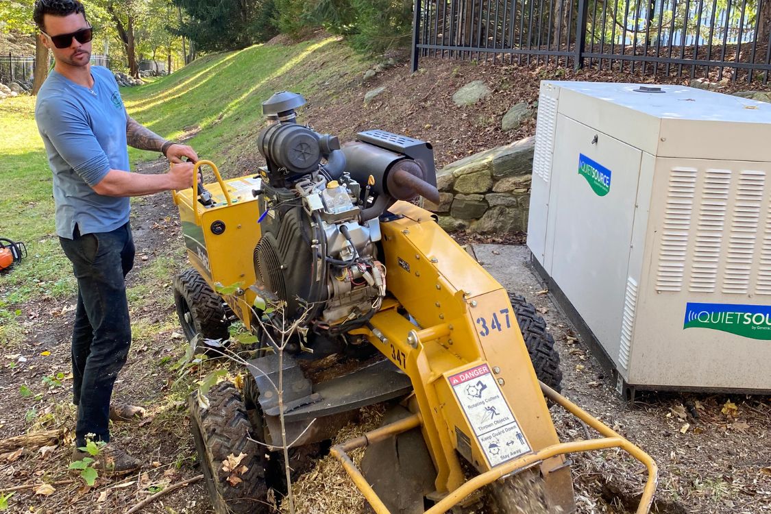 stump grinding Watertown CT