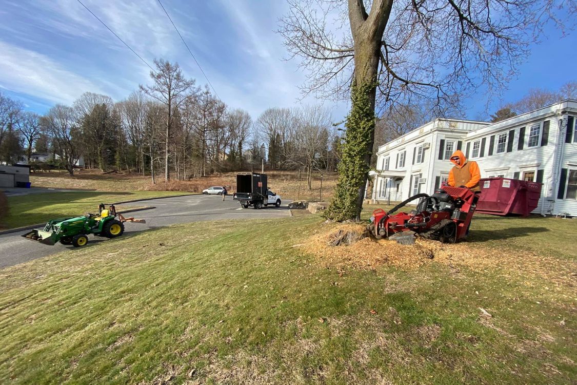 stump grinding Watertown CT