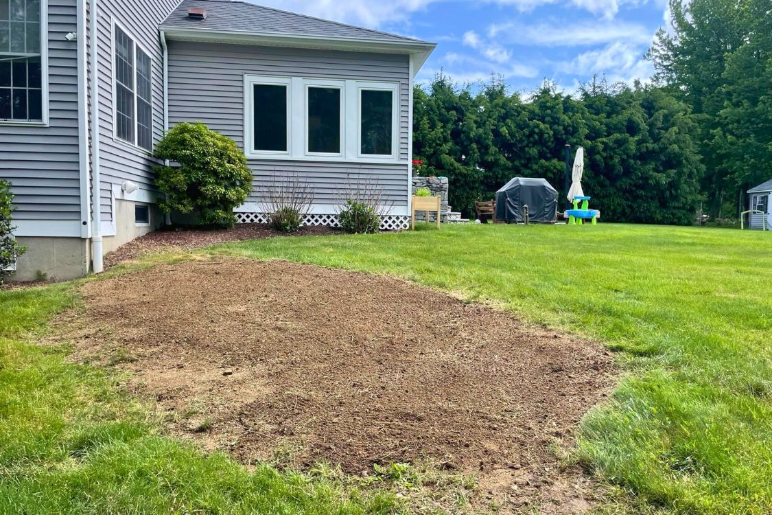 stump grinding Watertown CT