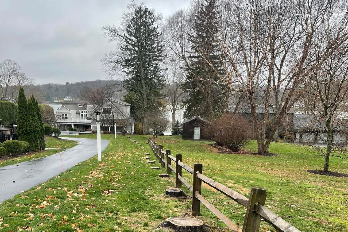 stump removal Watertown CT