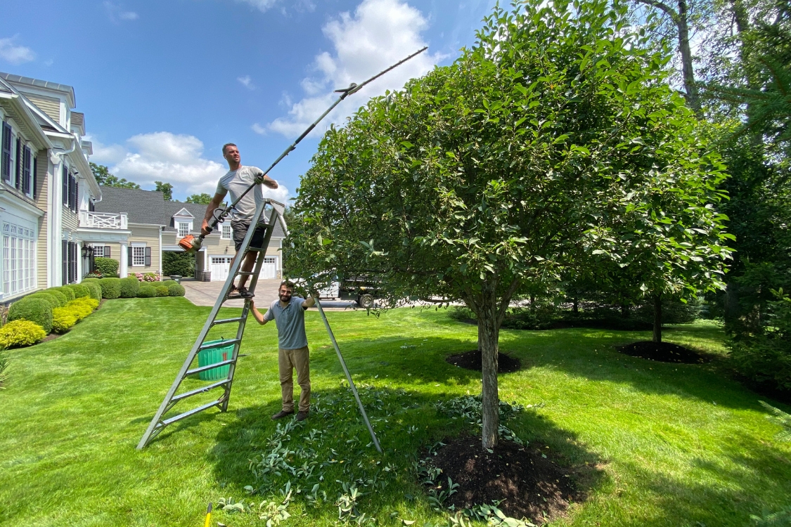 tree pruning Watertown CT