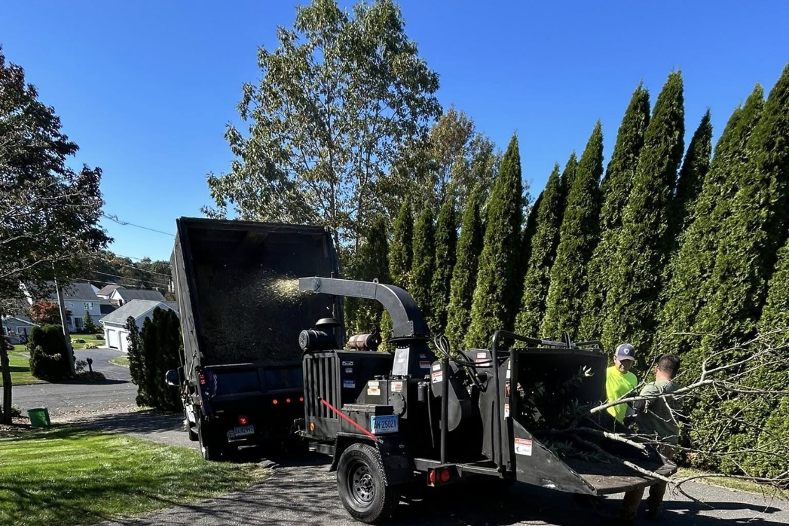tree service Watertown CT