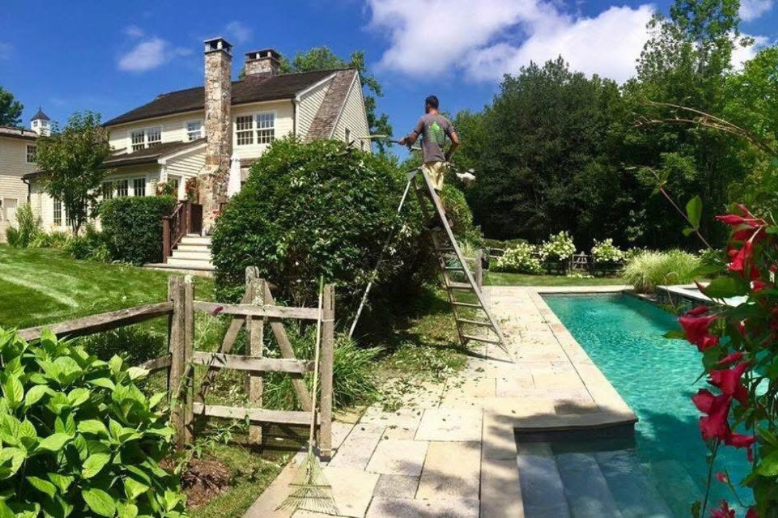 tree services