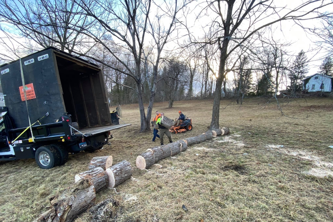 tree services