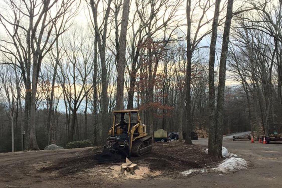 tree stump grinding Watertown CT