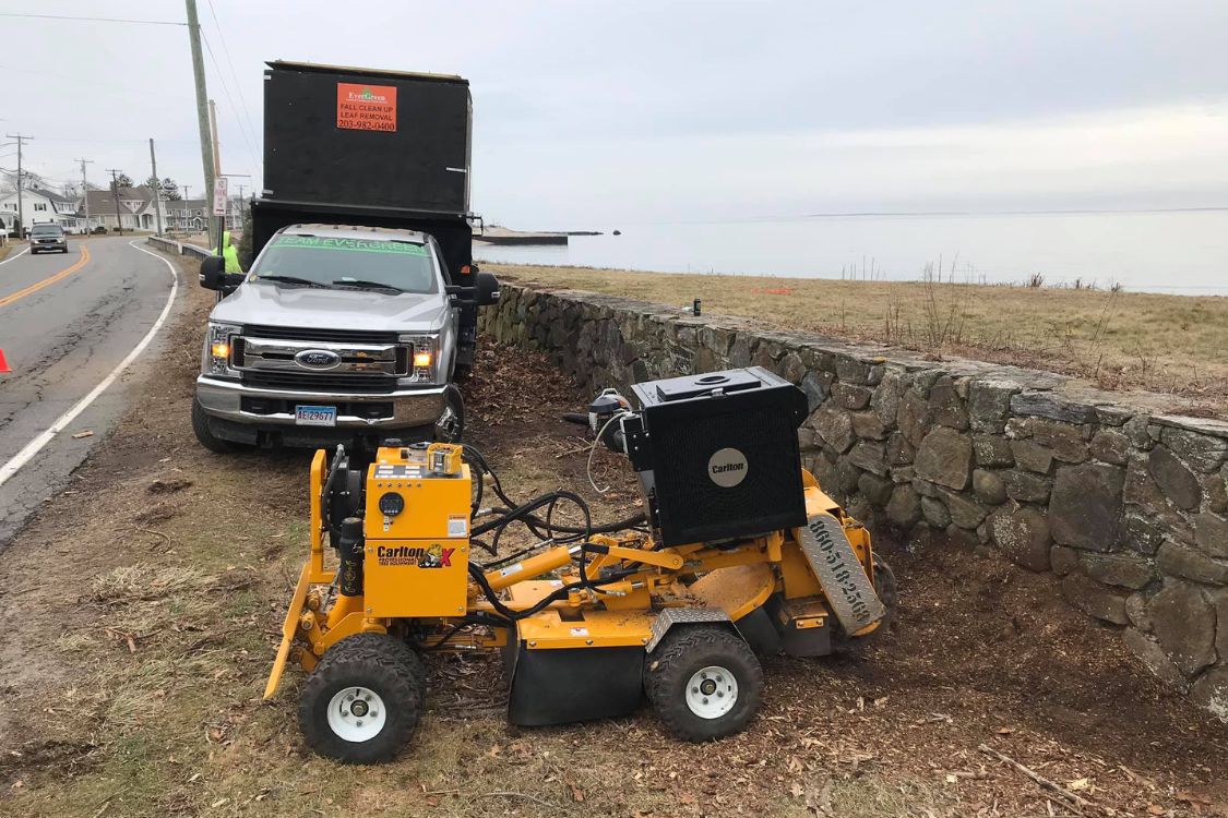 tree stump removal Watertown CT