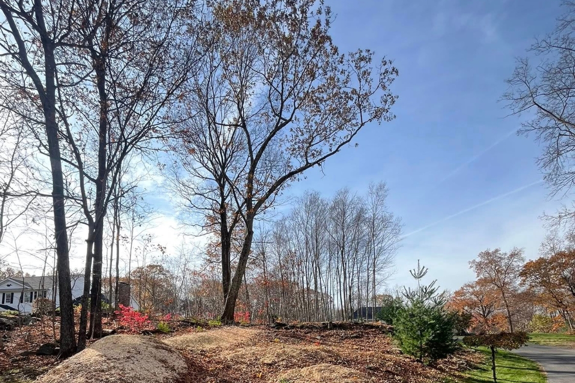 winter tree care Watertown CT