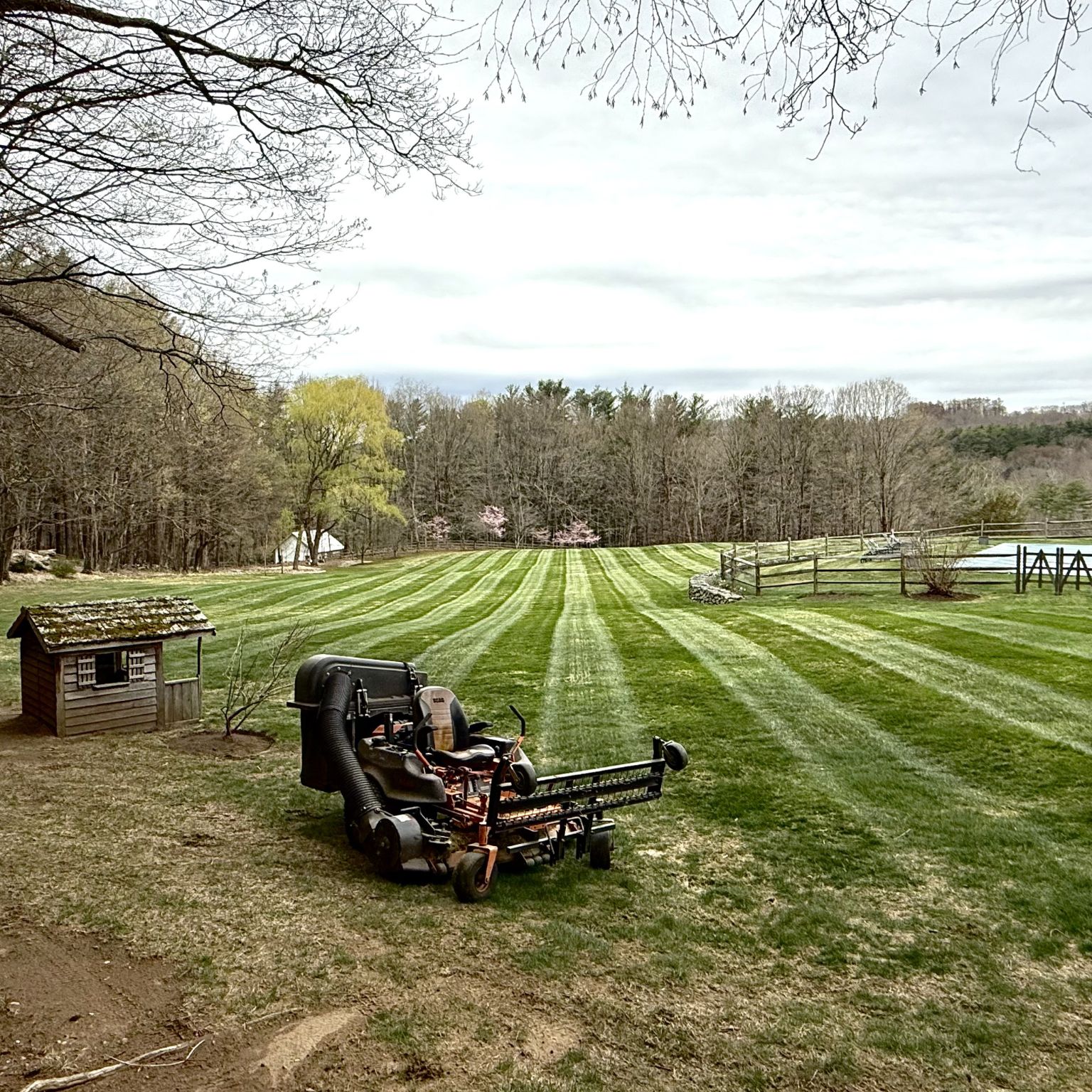Good Lawn Care Watertown CT with a mower parked beside a striped spring lawn and rustic shed