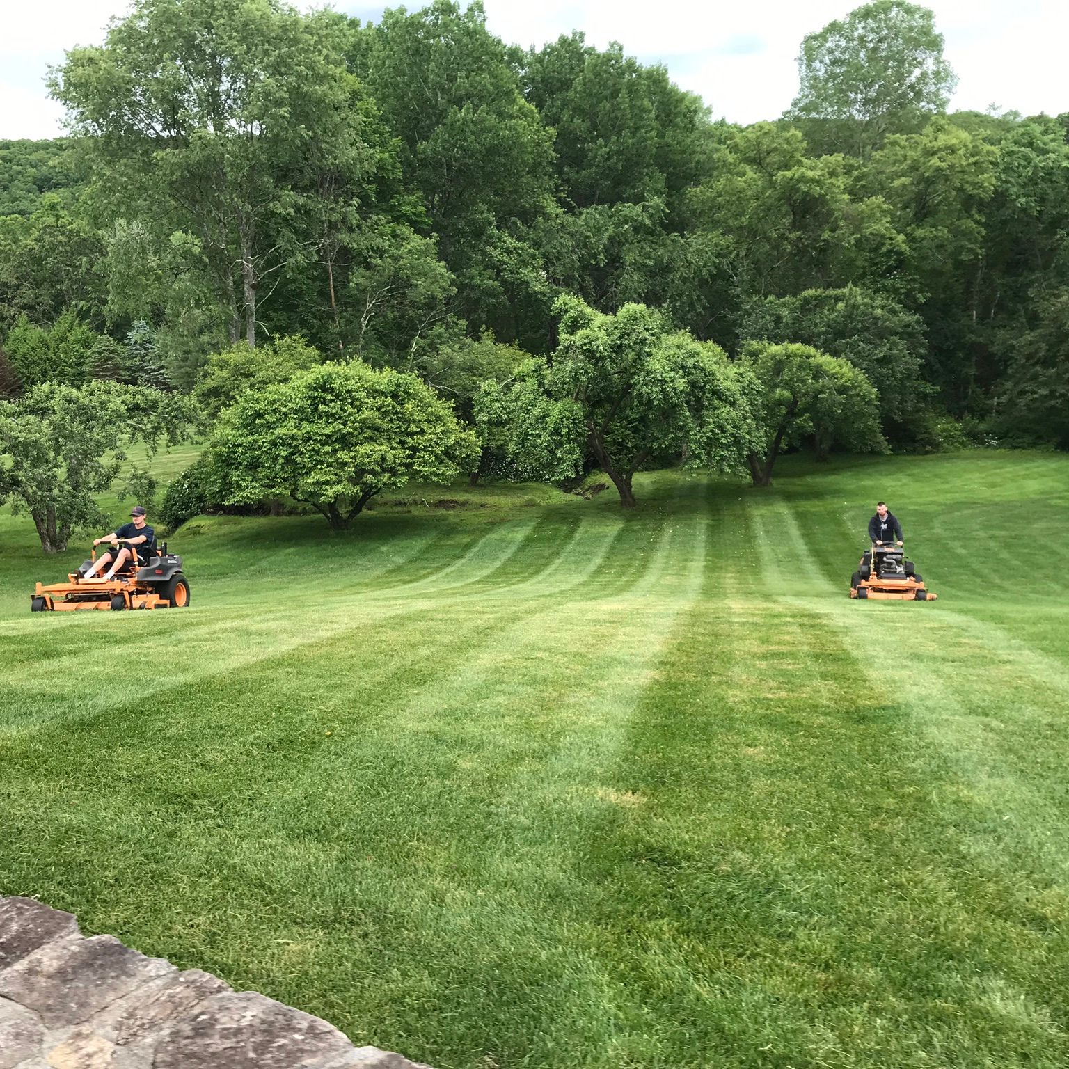 Watertown lawn service CT with two commercial mowers working across a broad orchard-style lawn