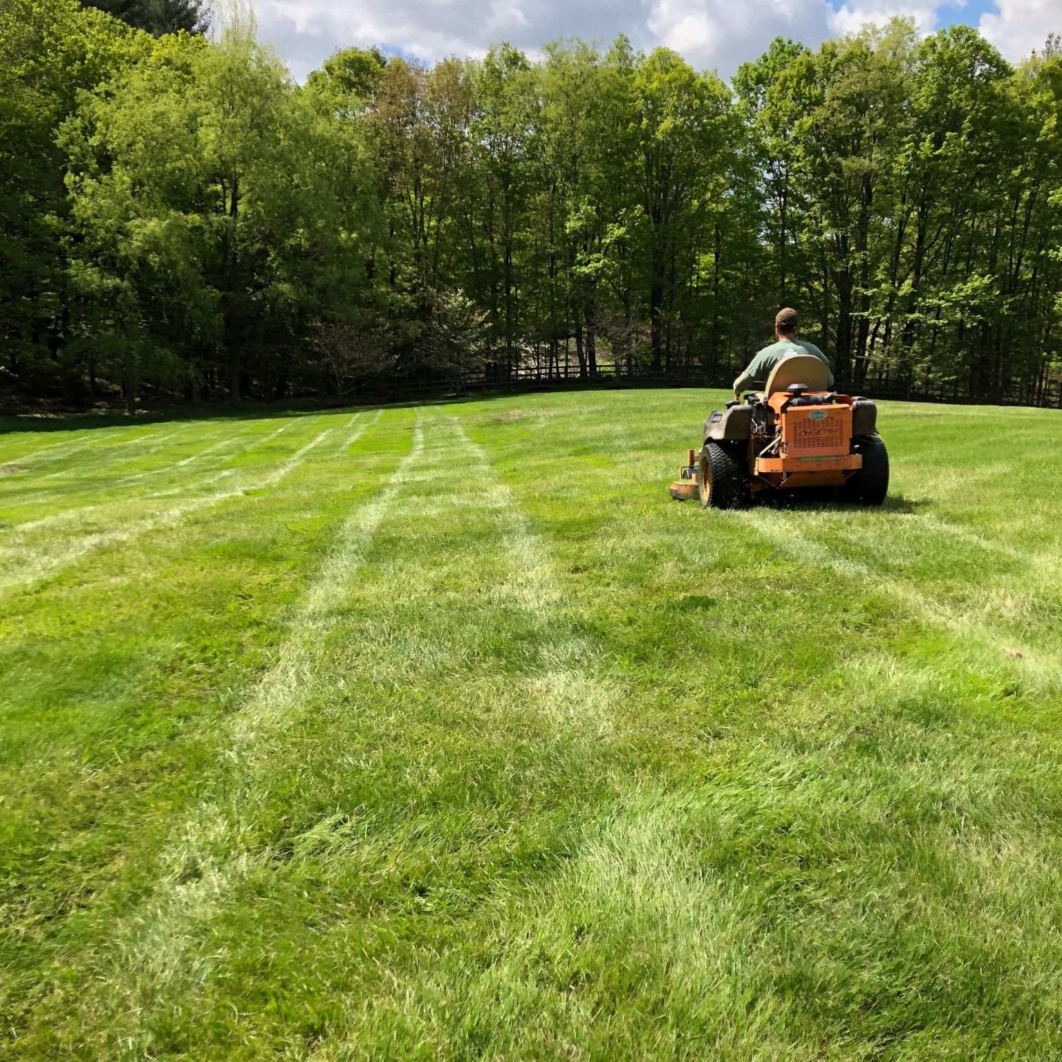 Watertown lawn service in progress with a rider mower crossing a wide green backyard
