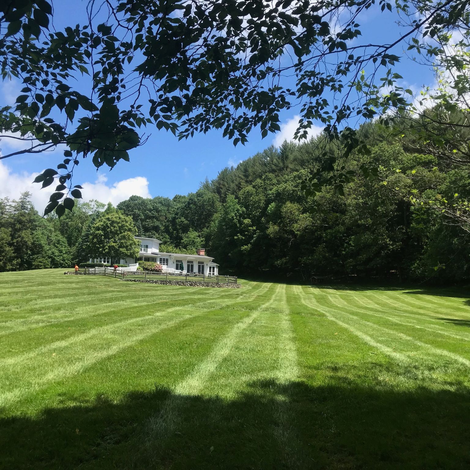 Best lawn service near me, a clean striped front lawn in front of a dark gray home