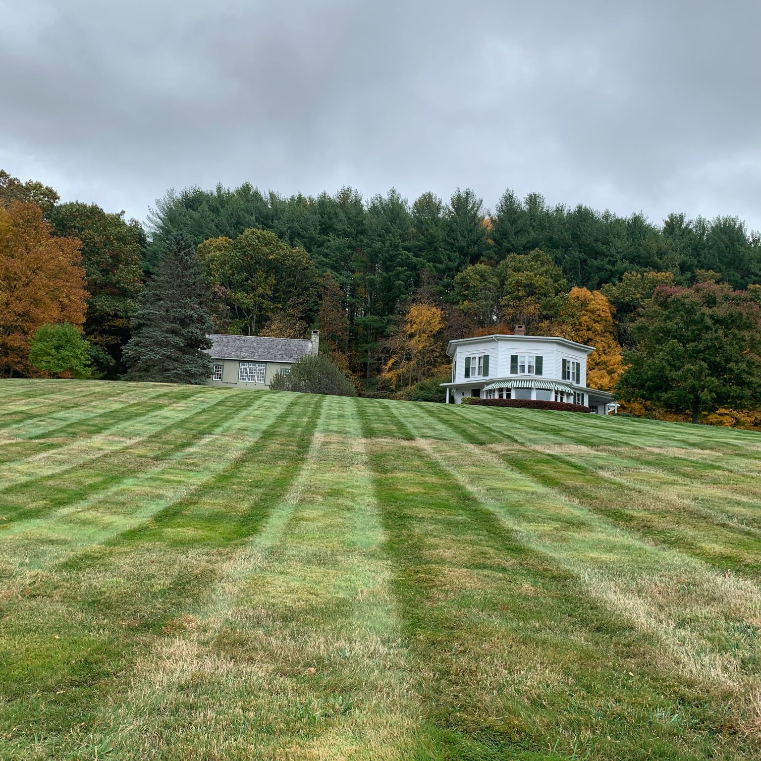 lawn care program CT on a wide striped lawn with fall color and two homes in the distance