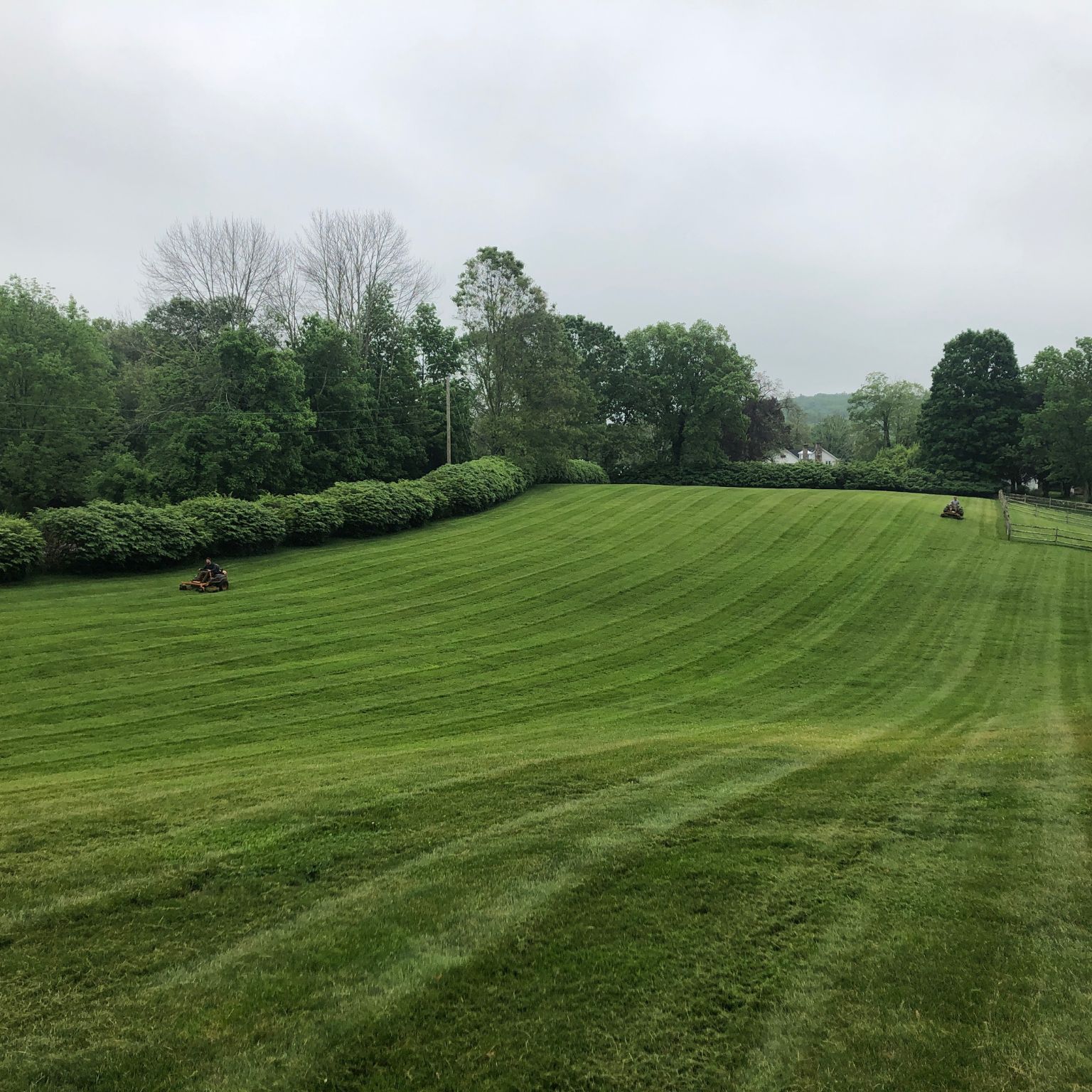 lawn care services Watertown on a large sloped lawn with two mowers creating clean stripes