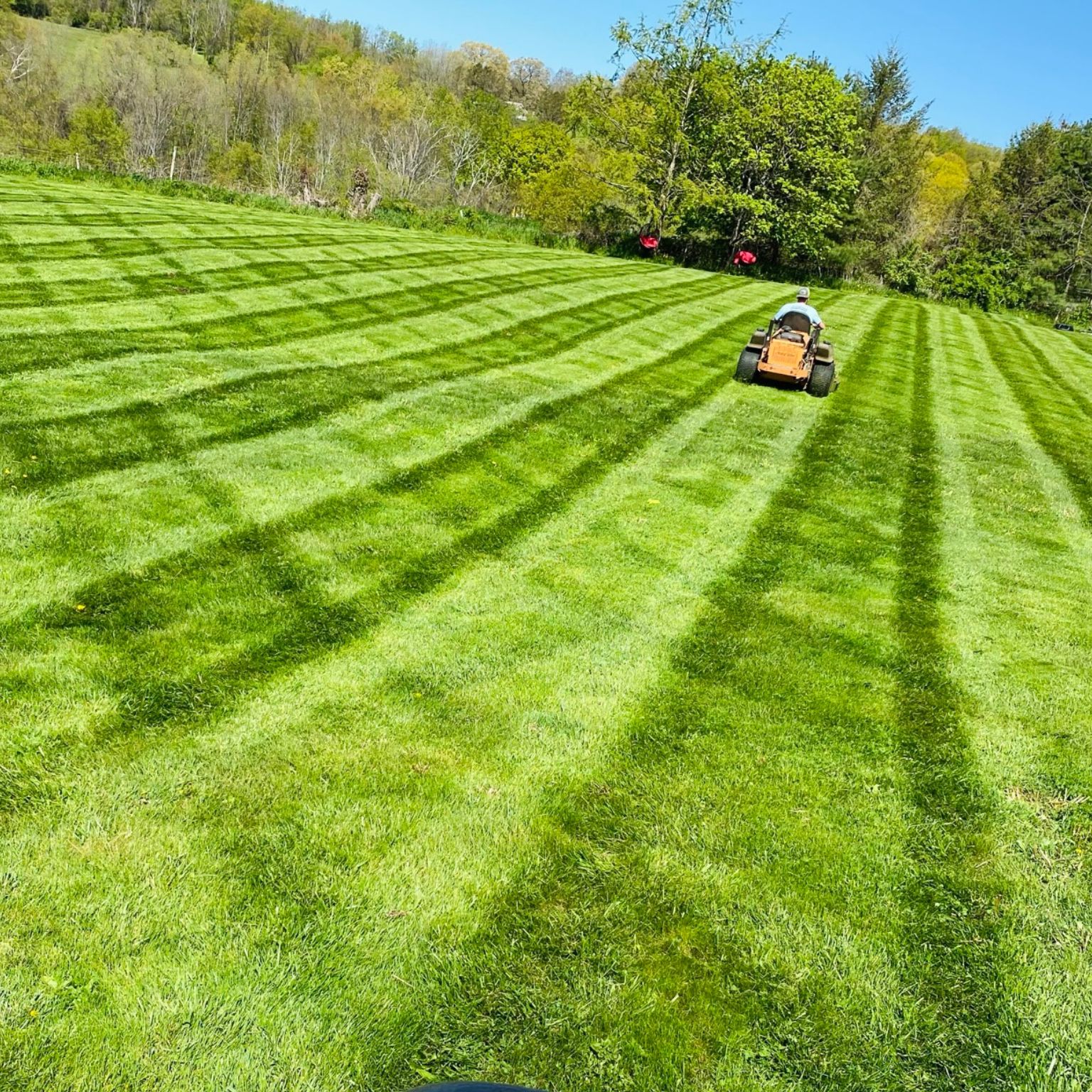 lawn maintenance Watertown on a waterfront lawn with a commercial mower and strong green striping
