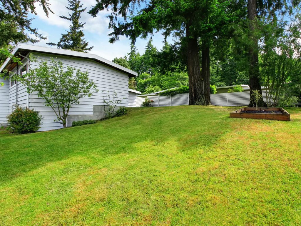 what does fertilizer do for grass