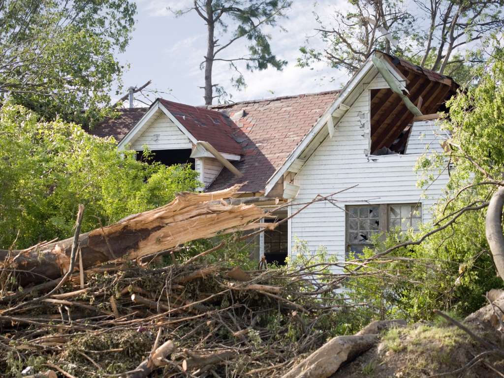 tree removal after storm